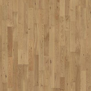 SPC ROVERE MIELE